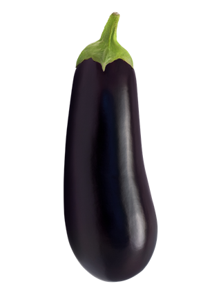 PATLICAN