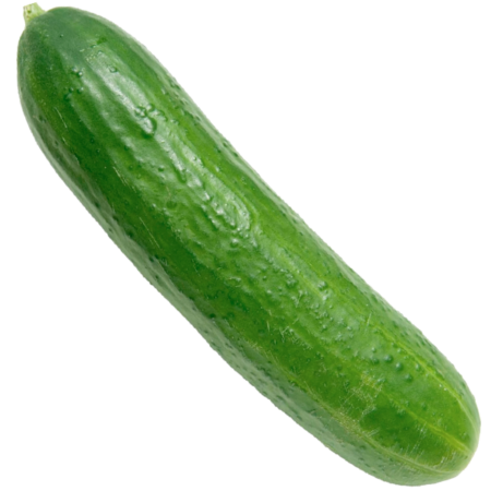 SALATALIK